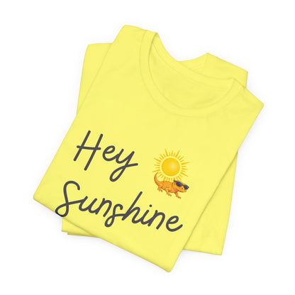 Hey Sunshine T-Shirt — Sunny Script Graphic Tee with Sun & Bird