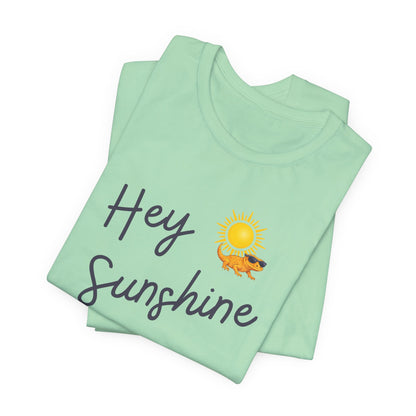 Hey Sunshine T-Shirt — Sunny Script Graphic Tee with Sun & Bird
